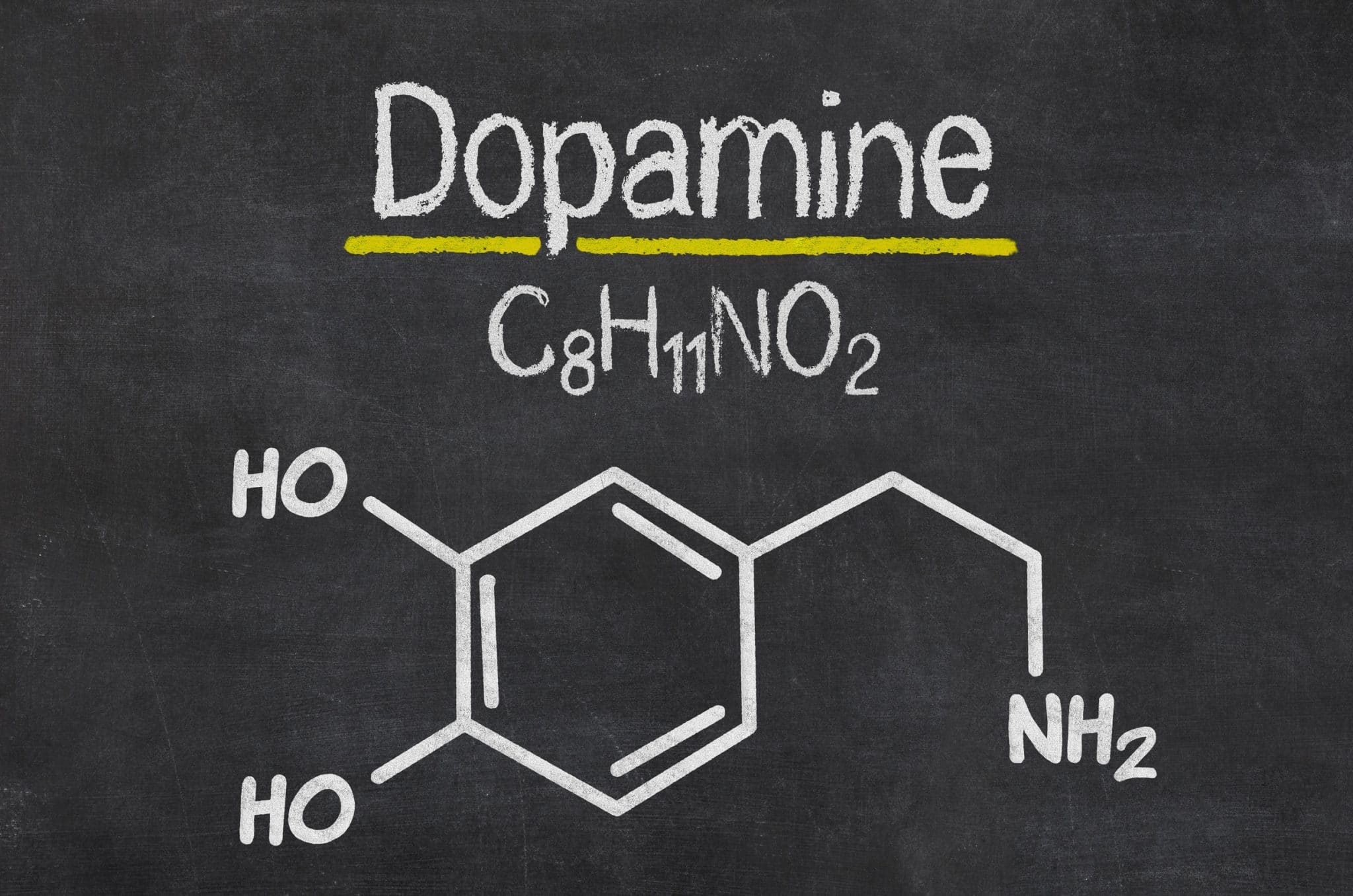 Balancing Your Dopamine Levels To Feel Great Kinesiology Erofound