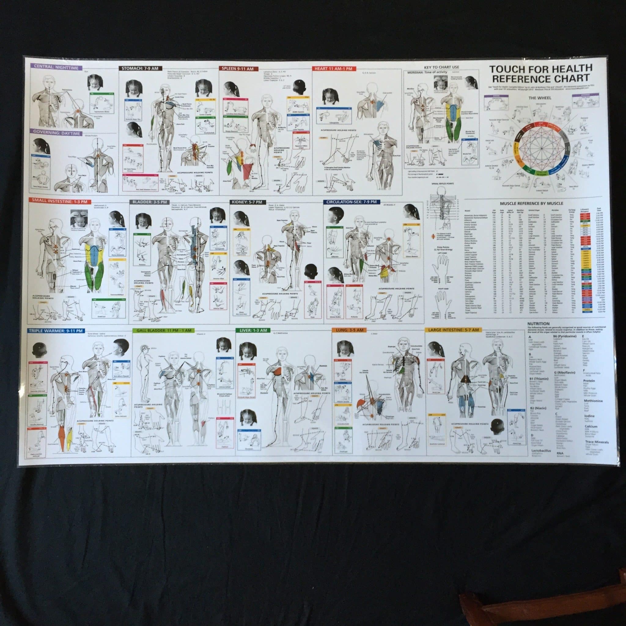 Applied Kinesiology Muscle Testing Chart