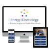 Energy Kinesiology Online Courses