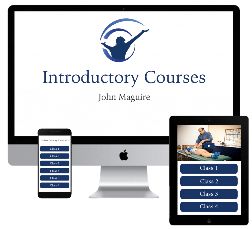 Introductory Kinesiology Online Courses