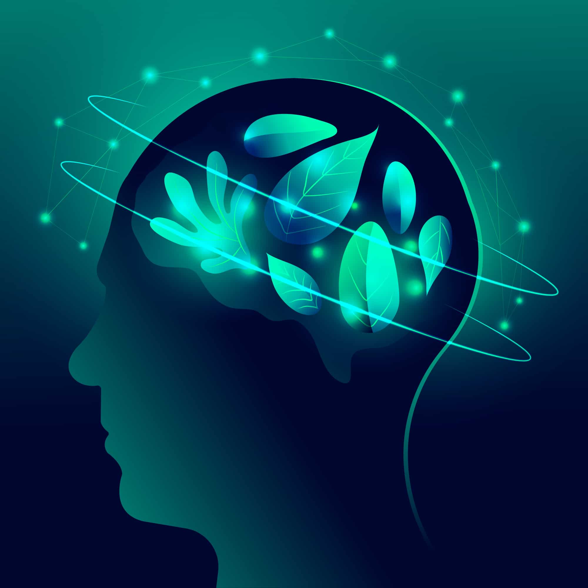Functional Region: The Key To Unlocking Your Full Potential - um1cizv